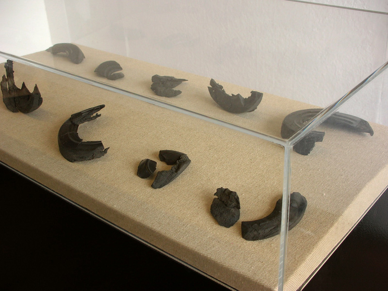 Vitrine containing wheel fragments...